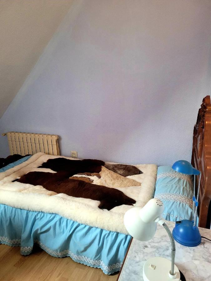 Palau 2 Apartman Valencia Kültér fotó